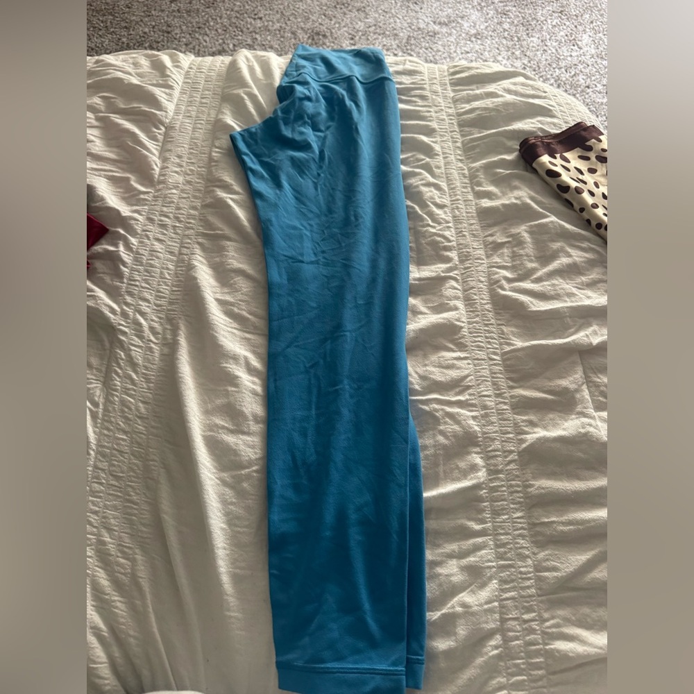 Aritzia Blue Leggings
